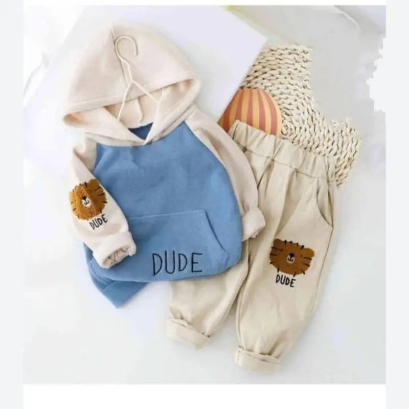 Casual Hoodia set for kids